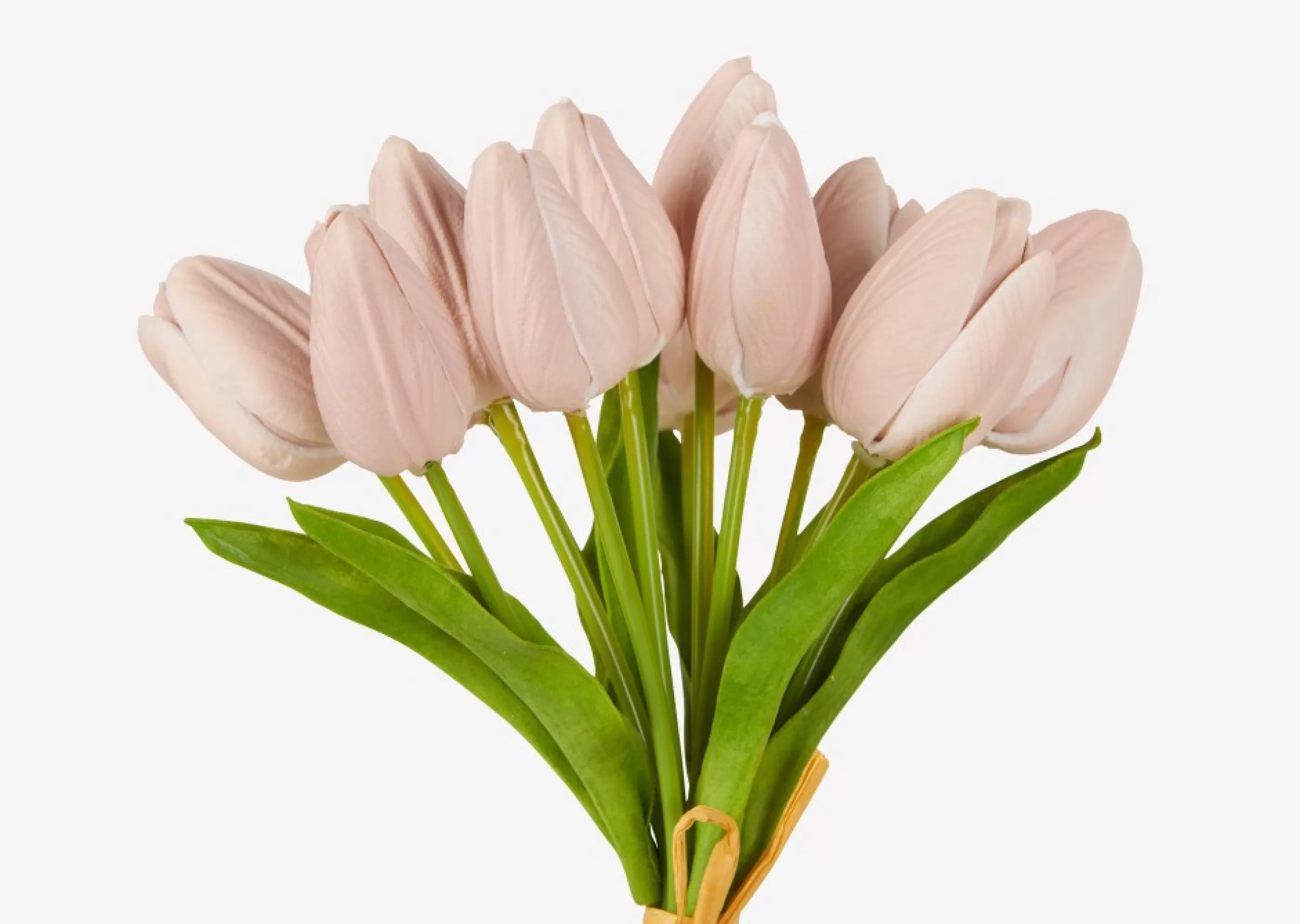 Urban Barn Blooms & Branches*Berdine Tulip Bundle