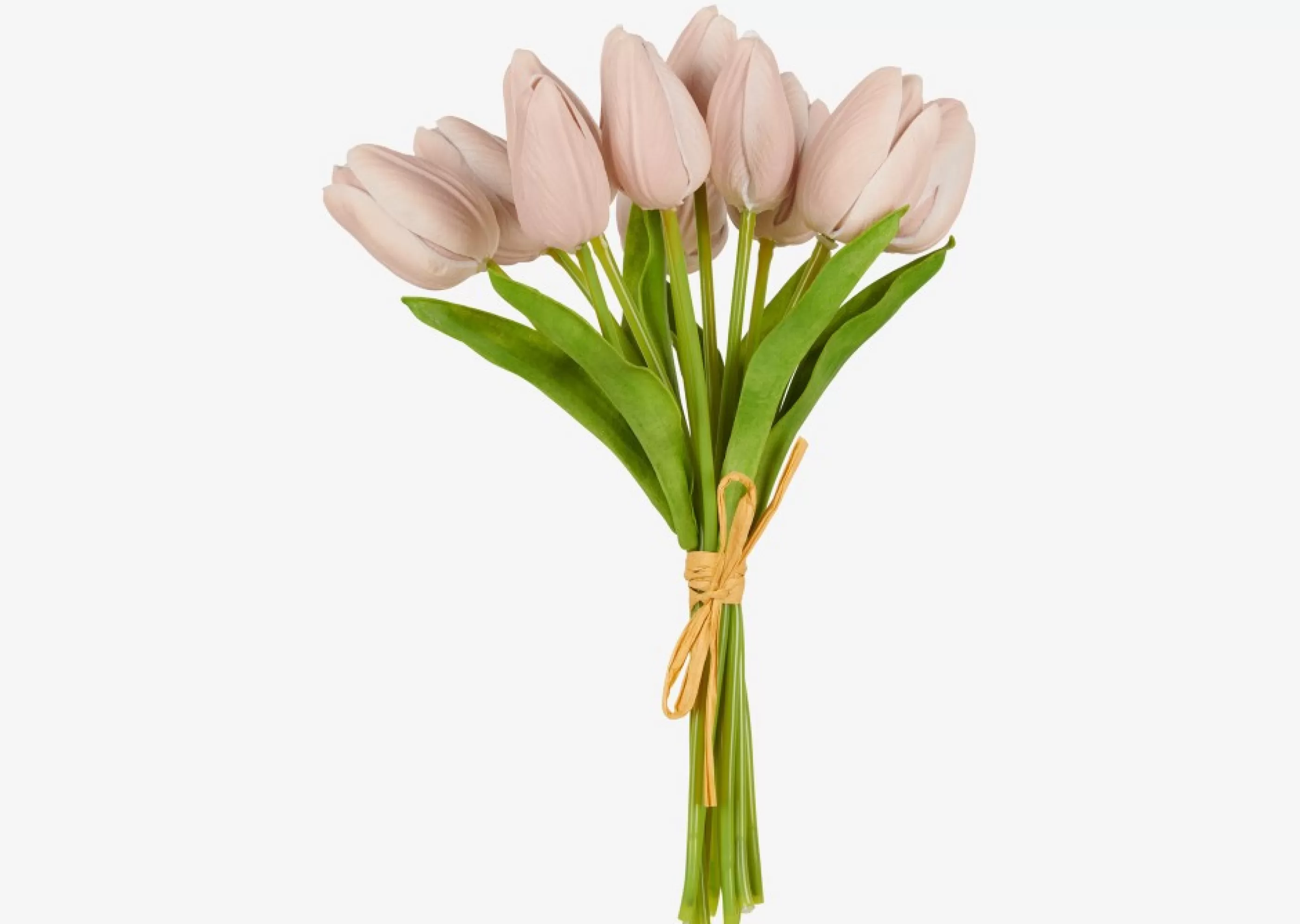 Urban Barn Blooms & Branches*Berdine Tulip Bundle