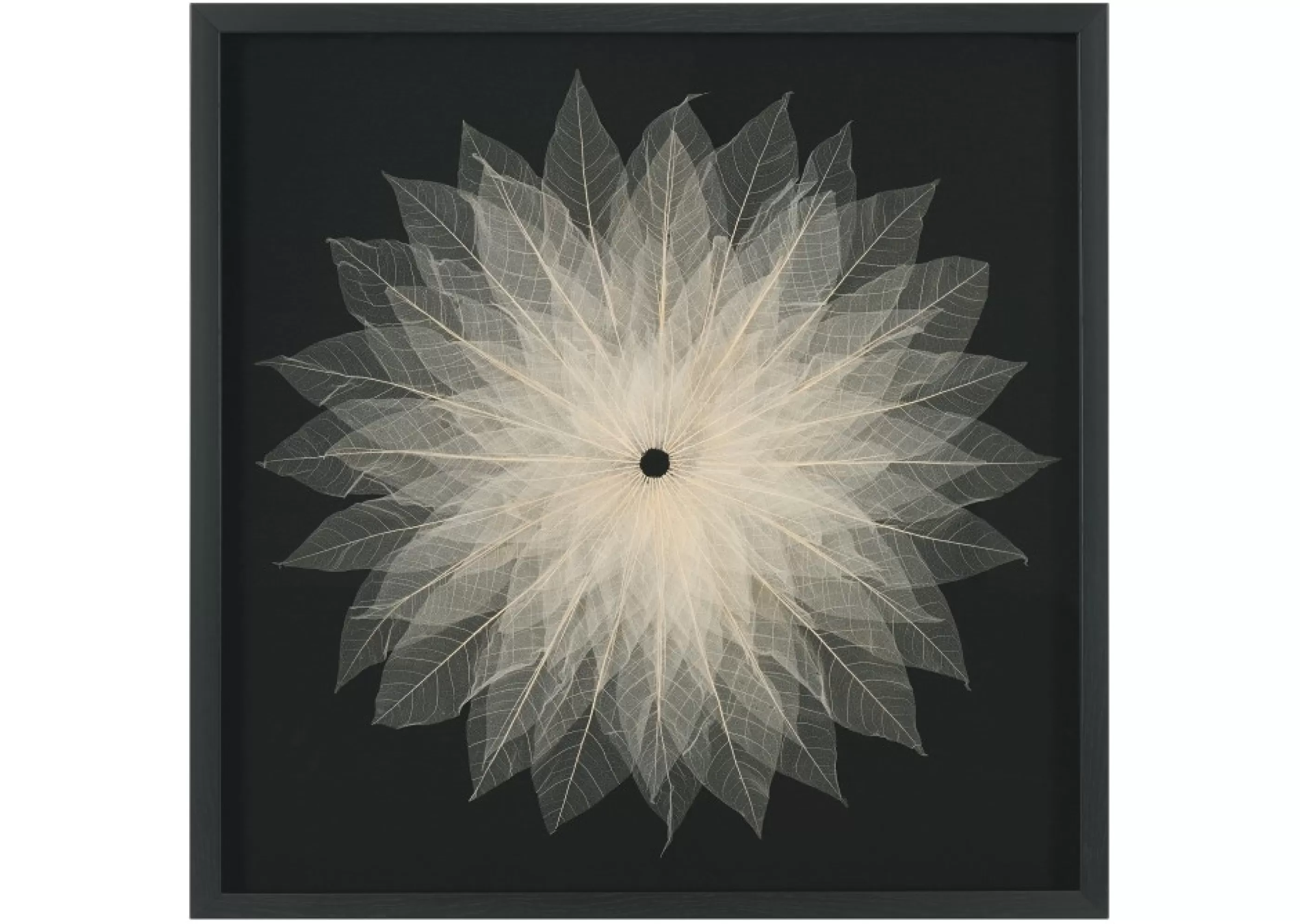 unavailable Wall Accents*Botanical Wall Accent