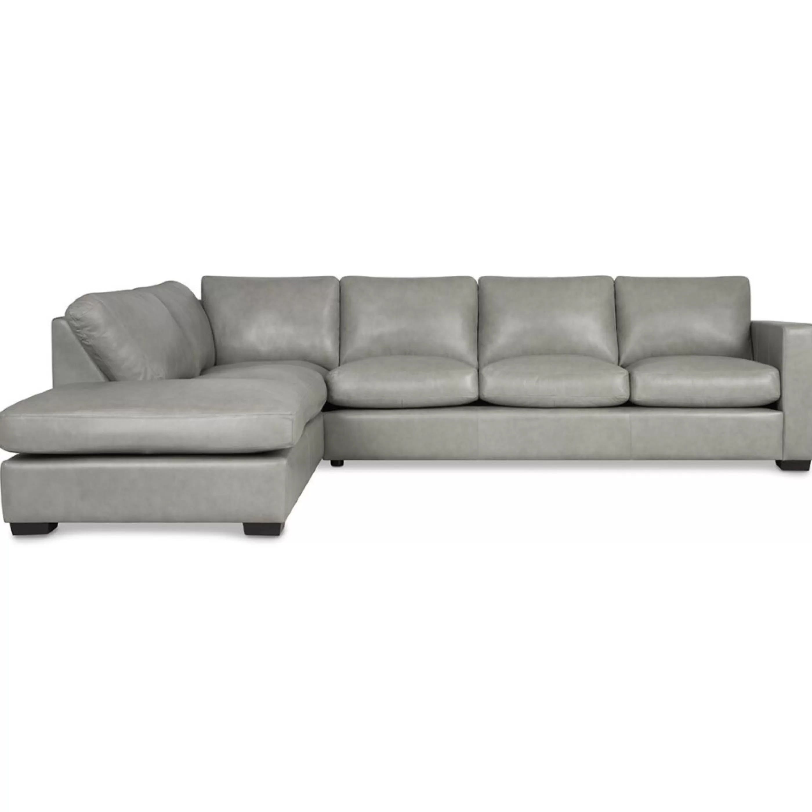 Urban Barn Custom*Brewer Custom Leather Sectional
