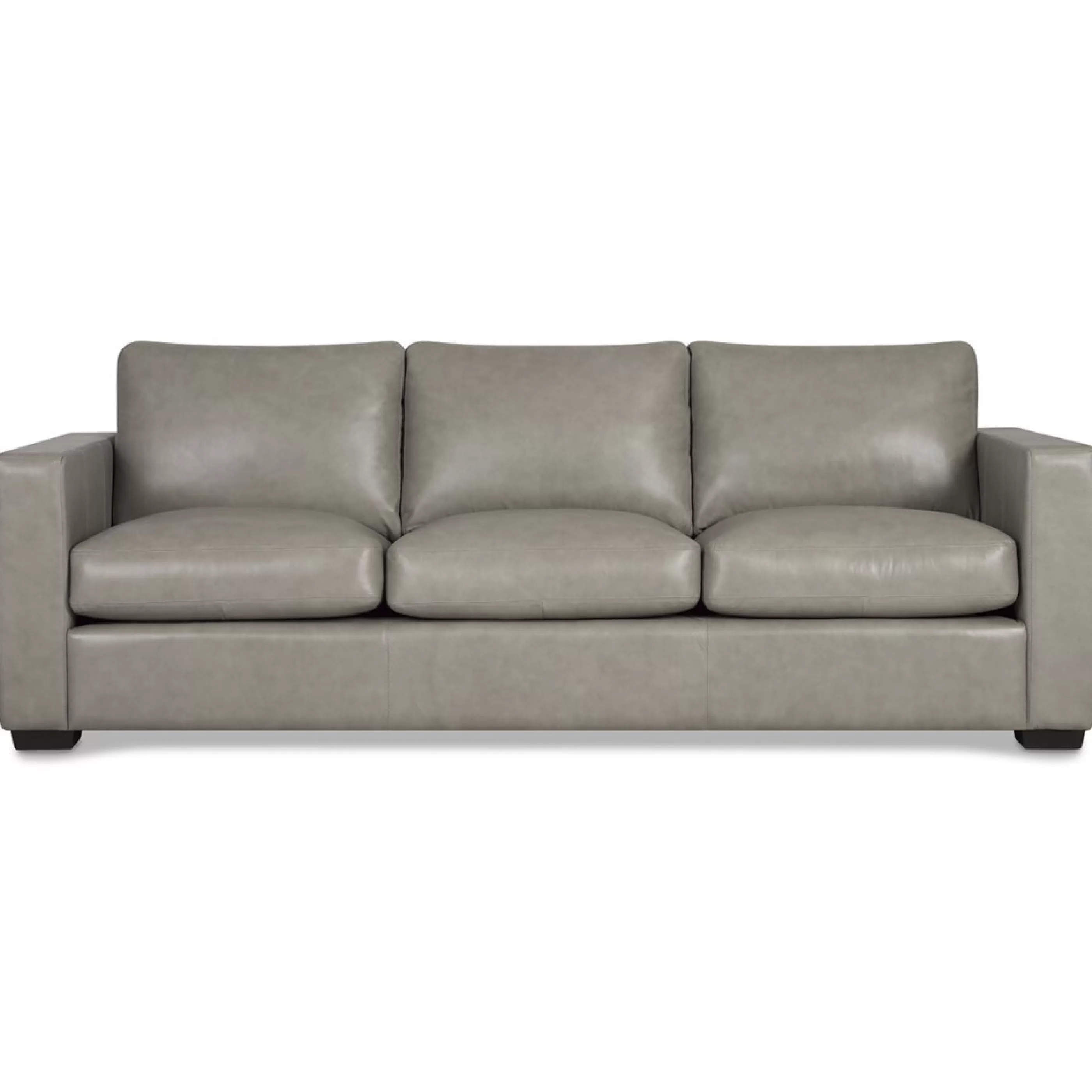 Urban Barn Custom*Brewer Custom Leather Sofa