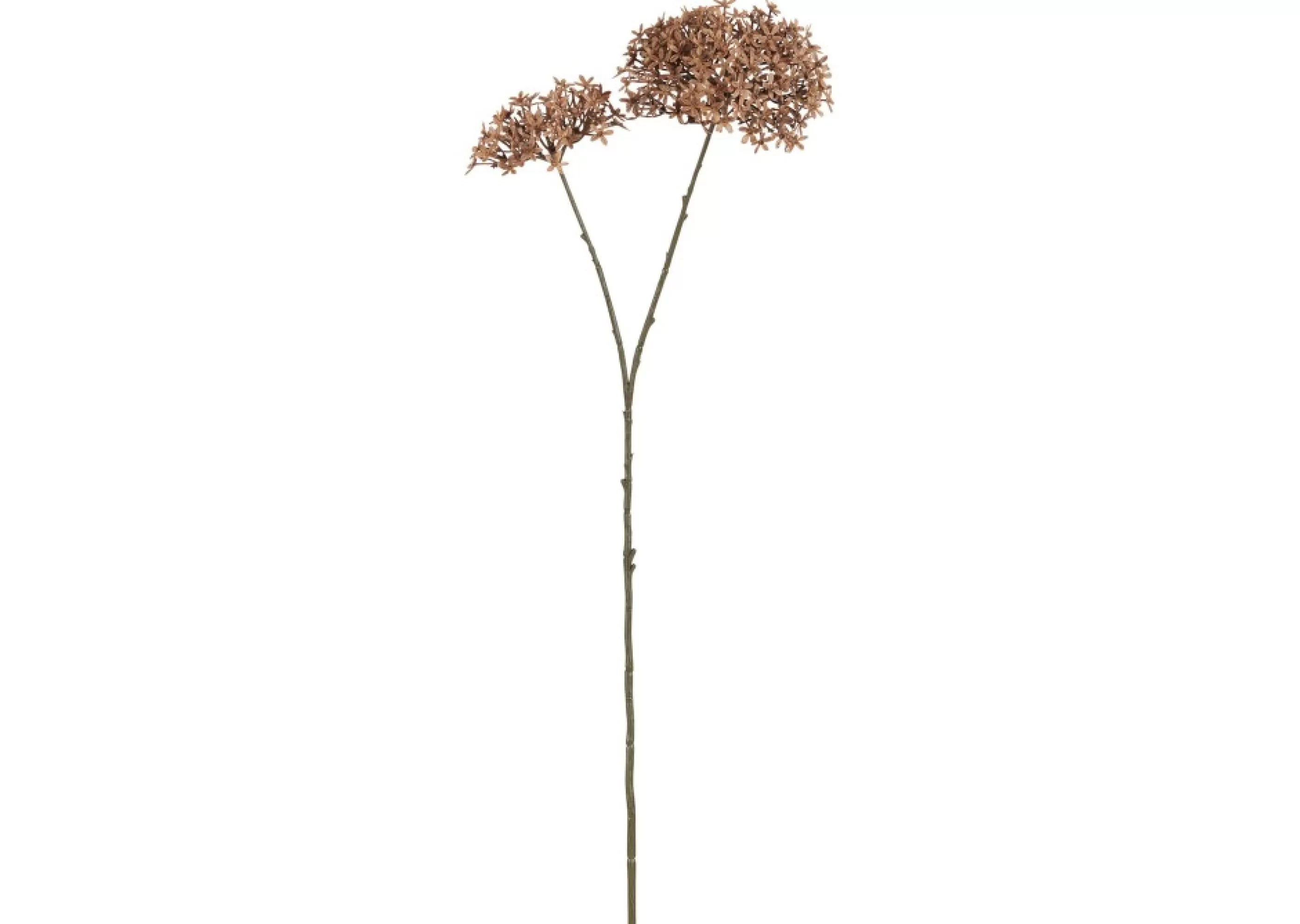 unavailable Blooms & Branches*Dunne Allium Branch