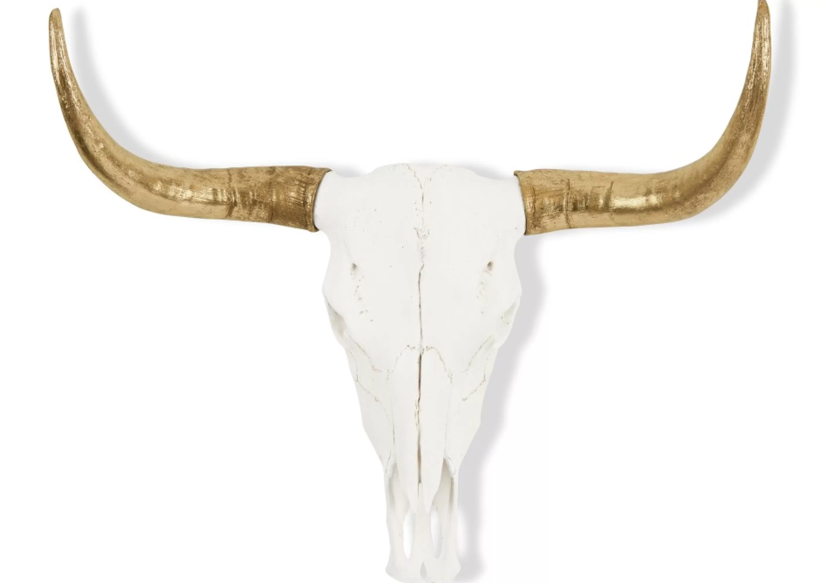 unavailable Wall Accents*Dutton Skull Wall Accent