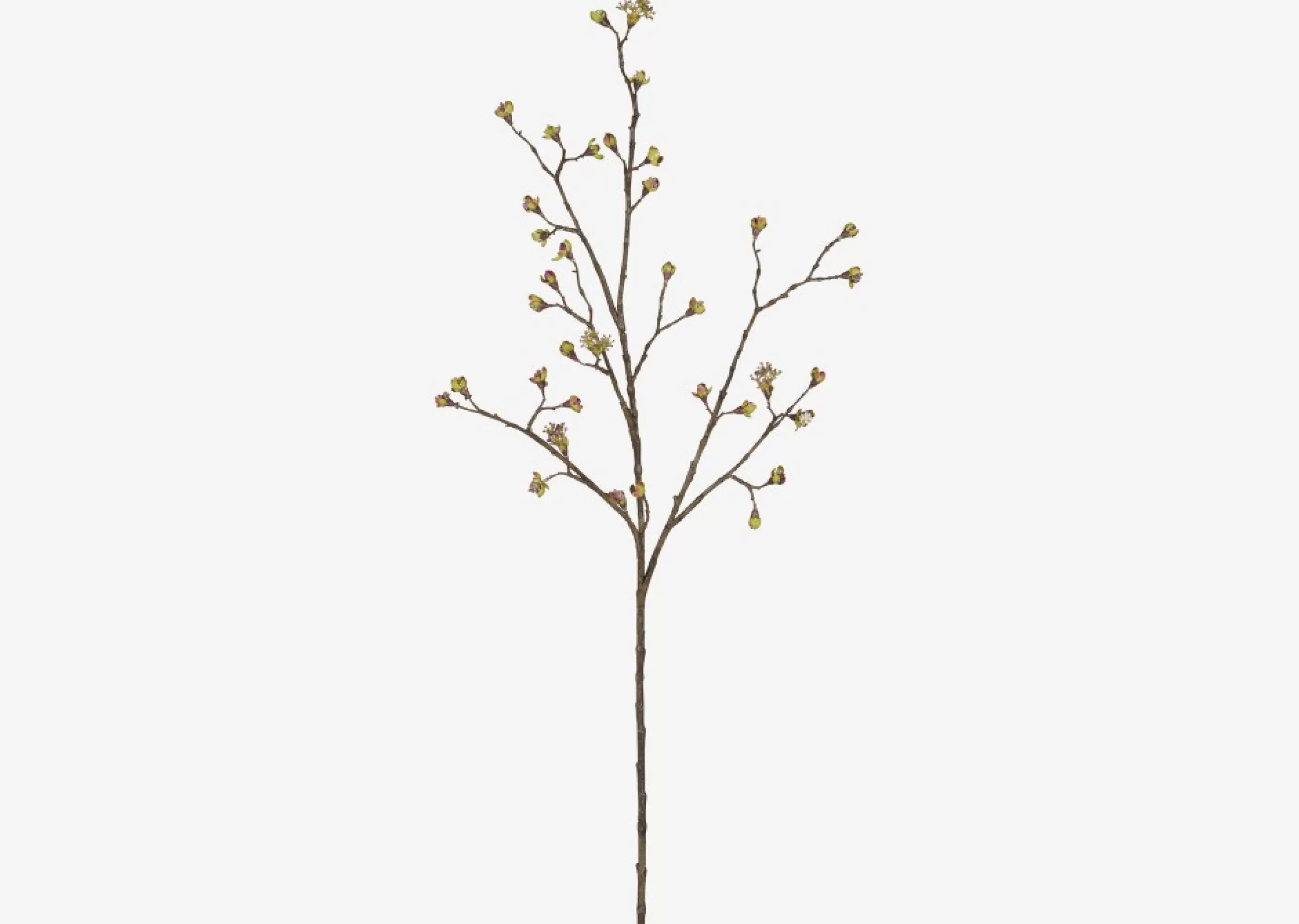 unavailable Blooms & Branches*Gail Prunus Branch