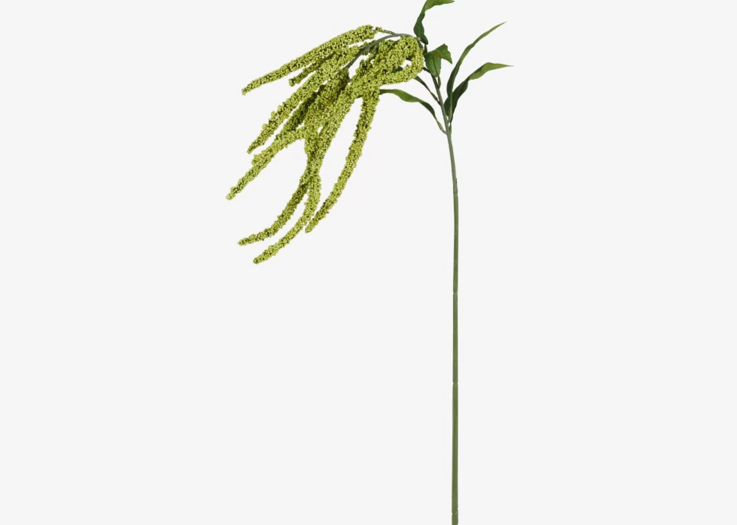 unavailable Blooms & Branches*Glora Amaranthus Branch