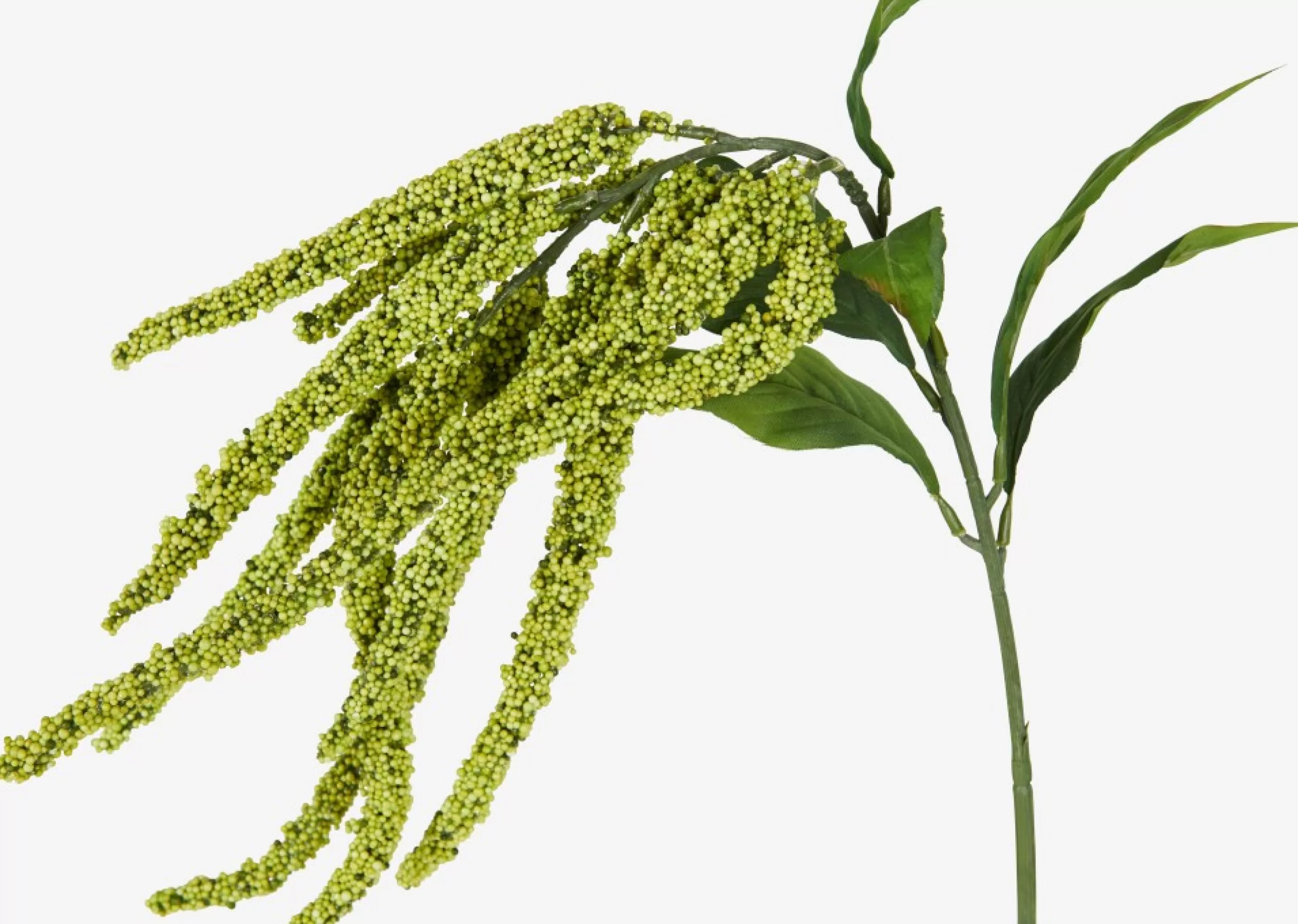 unavailable Blooms & Branches*Glora Amaranthus Branch