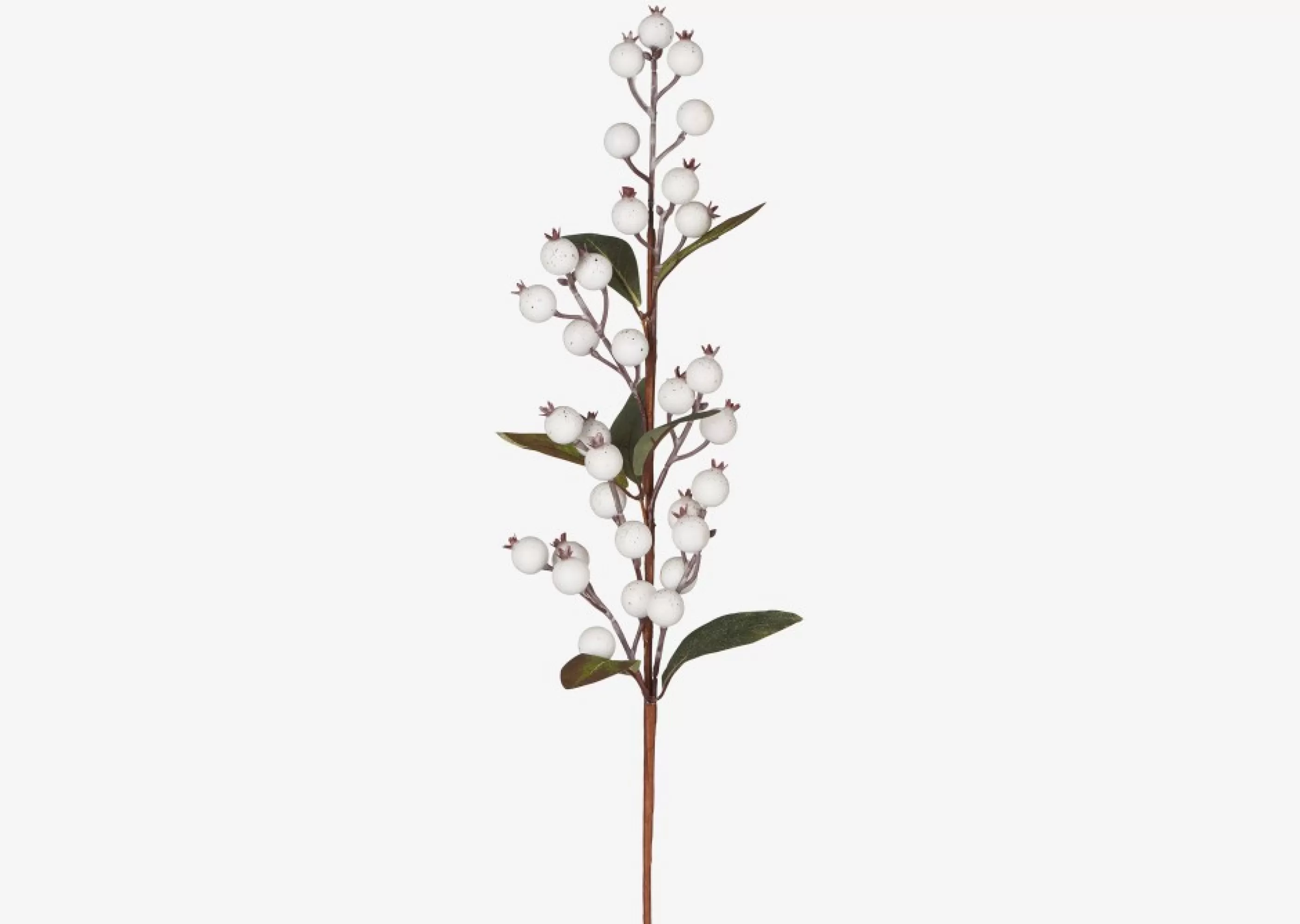 Urban Barn Blooms & Branches*Hawthorn Berry Branch White