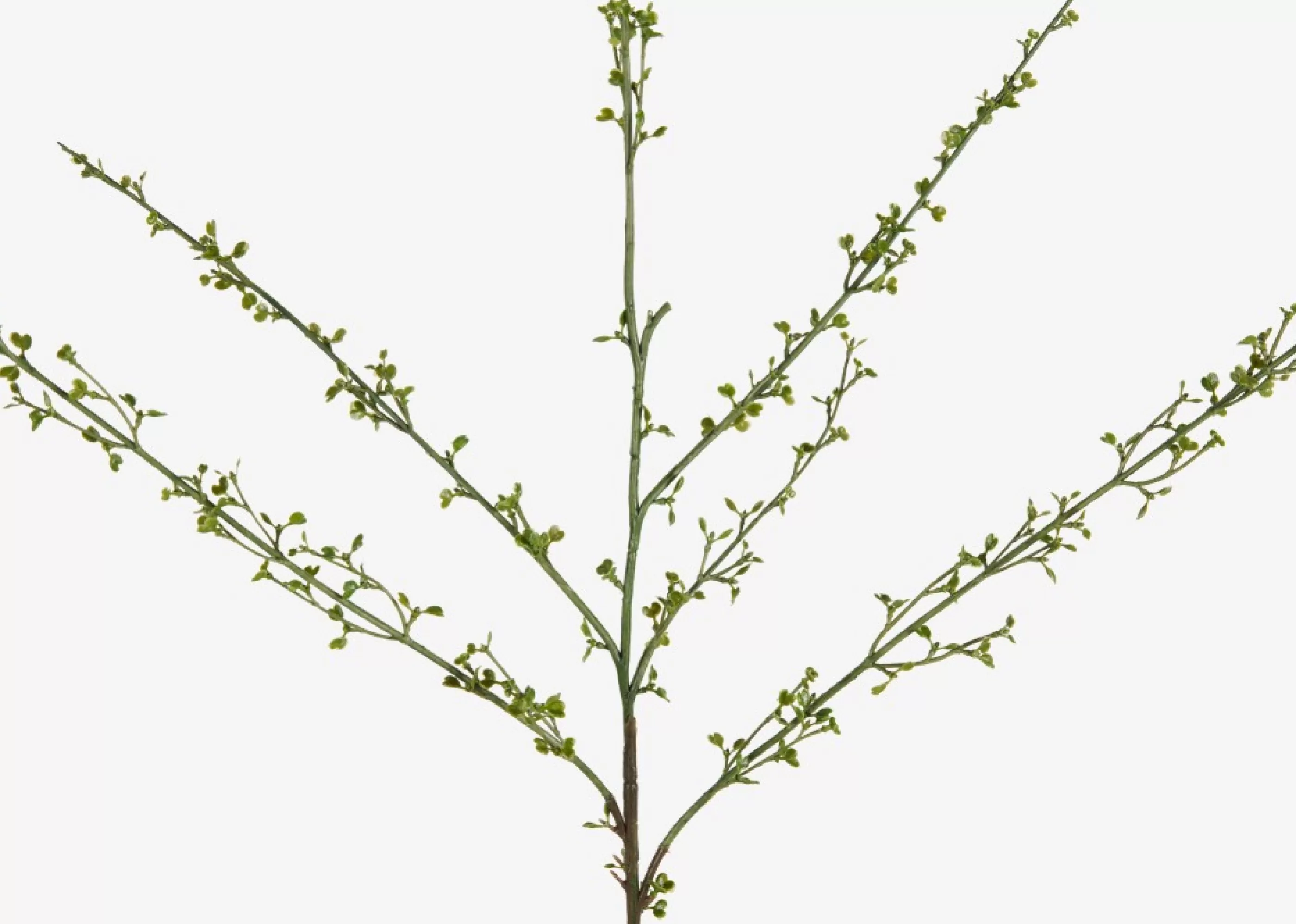 unavailable Blooms & Branches*Hopper Mini Spring Branch
