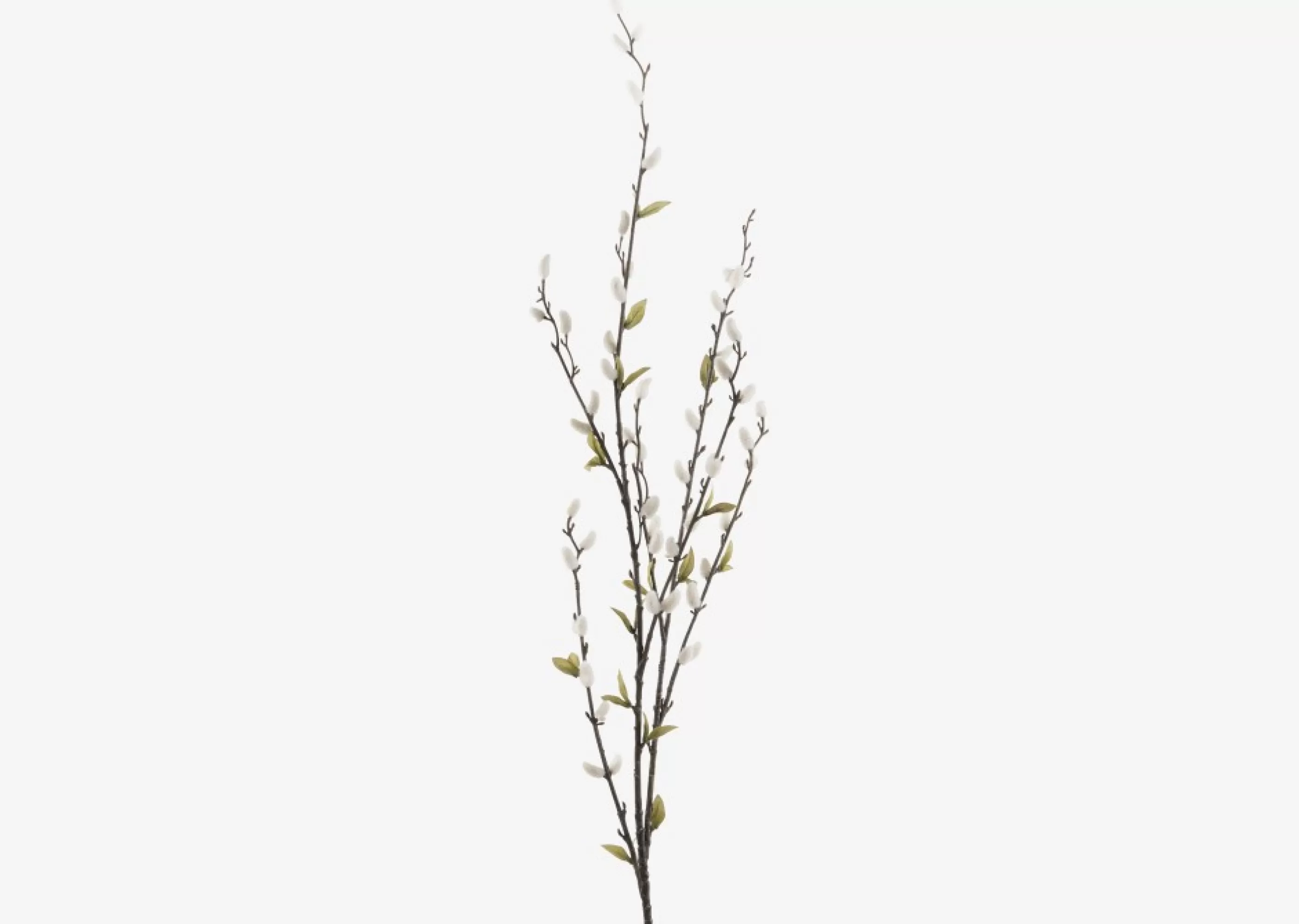 Urban Barn Blooms & Branches*Jessa Pussy Willow Branch
