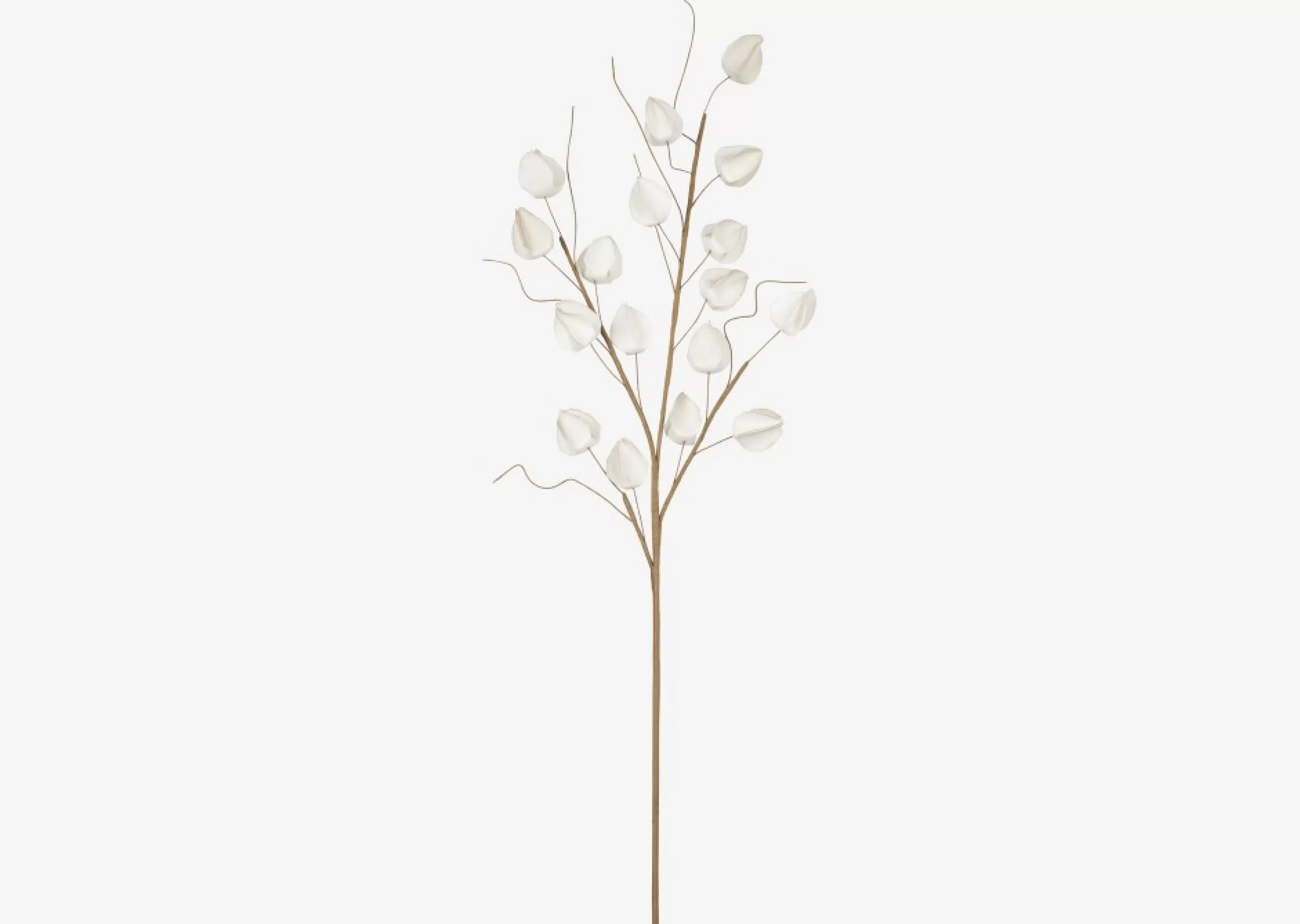 unavailable Blooms & Branches*Jojo Lantern Branch Sand
