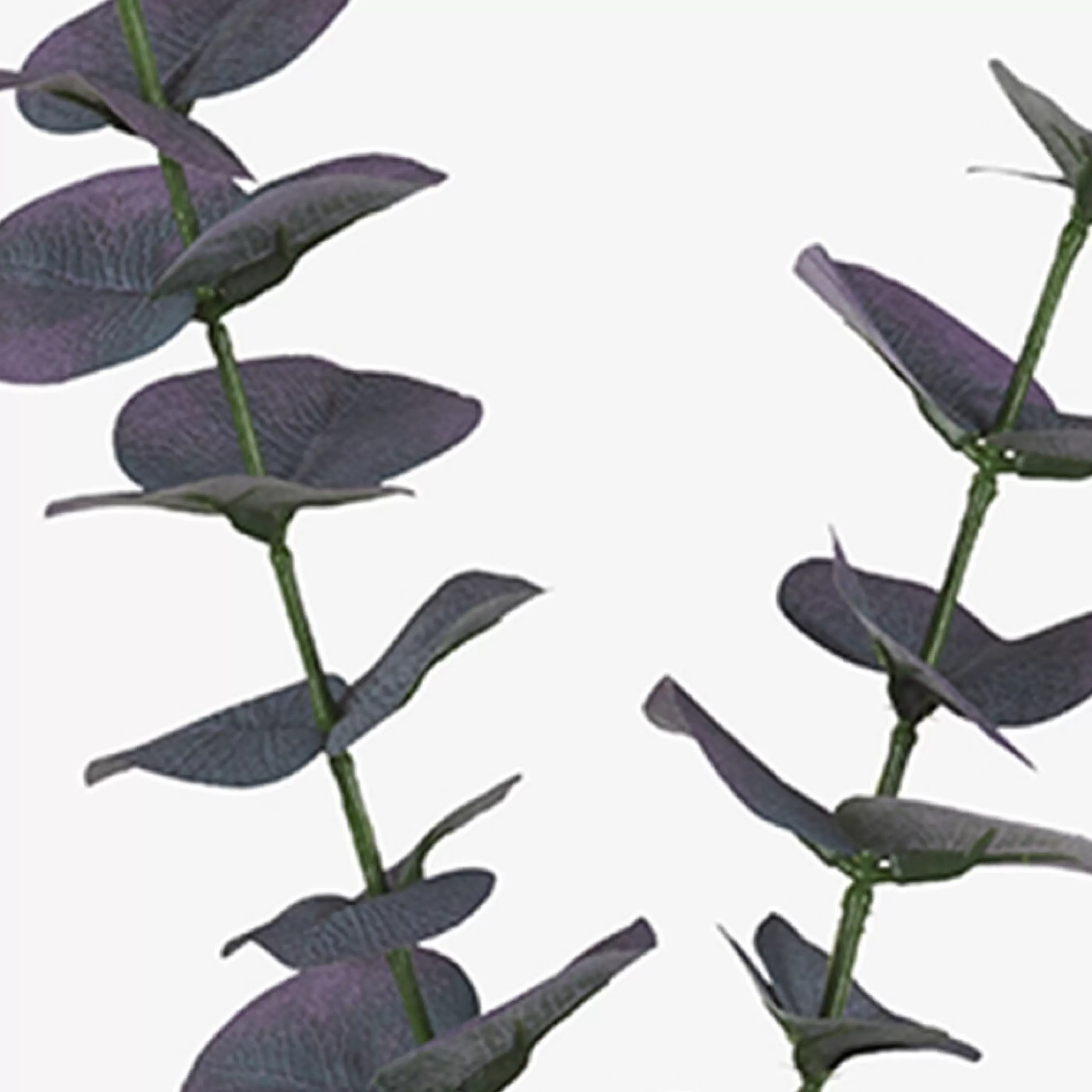 Urban Barn Blooms & Branches*Josy Eucalyptus Stem