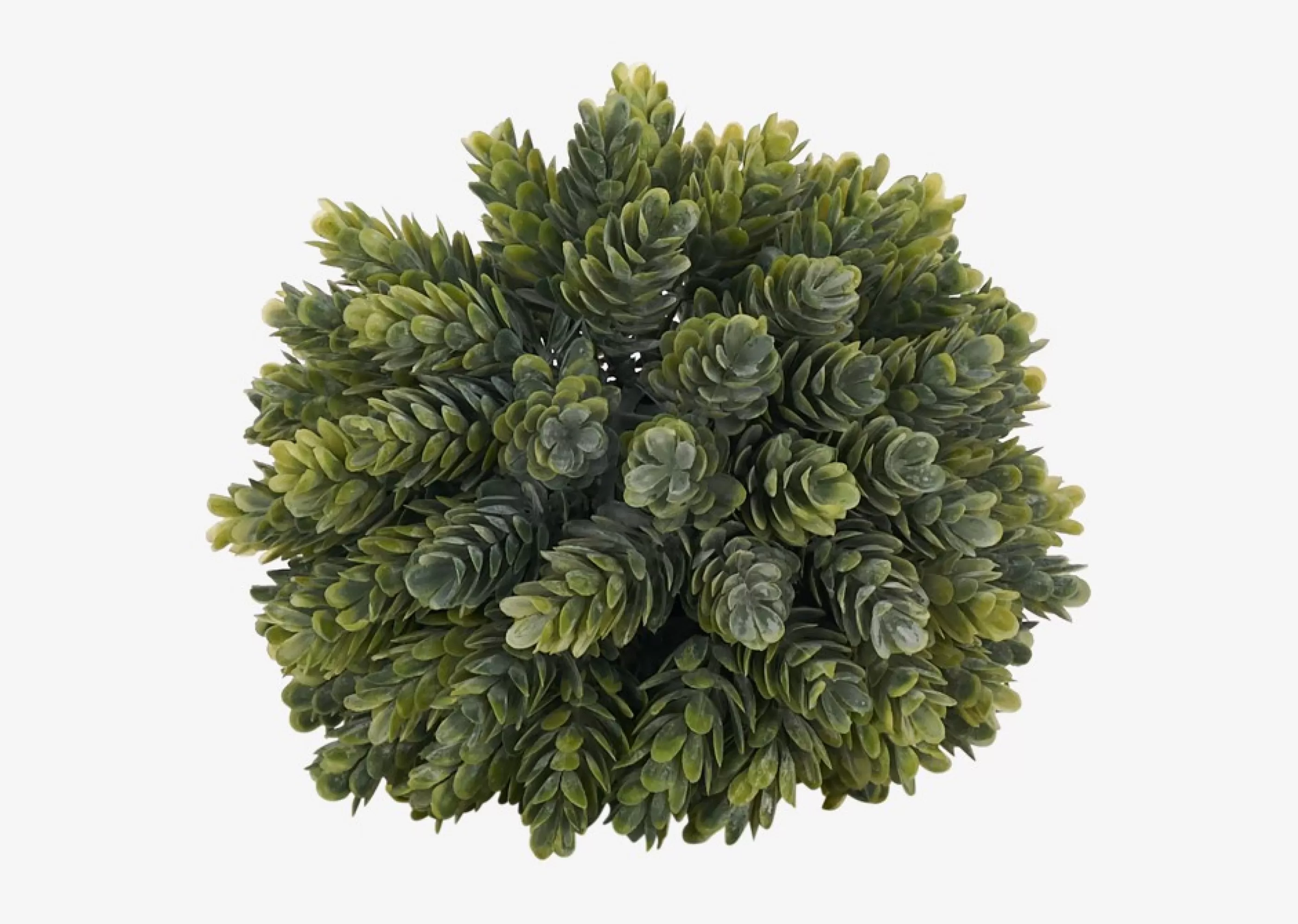 Urban Barn Blooms & Branches*Kylie Hops Ball