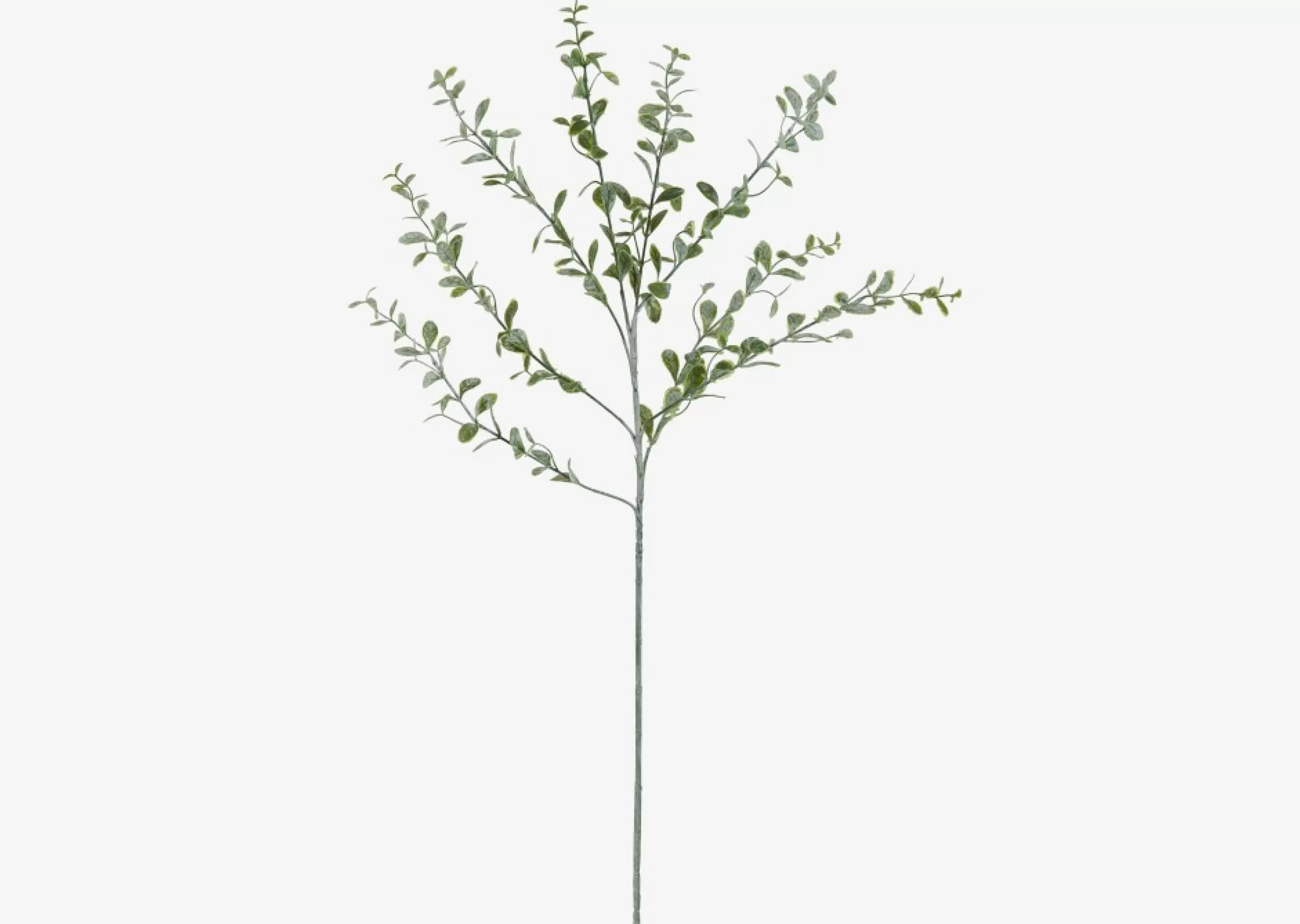unavailable Blooms & Branches*Linnea Leaf Branch
