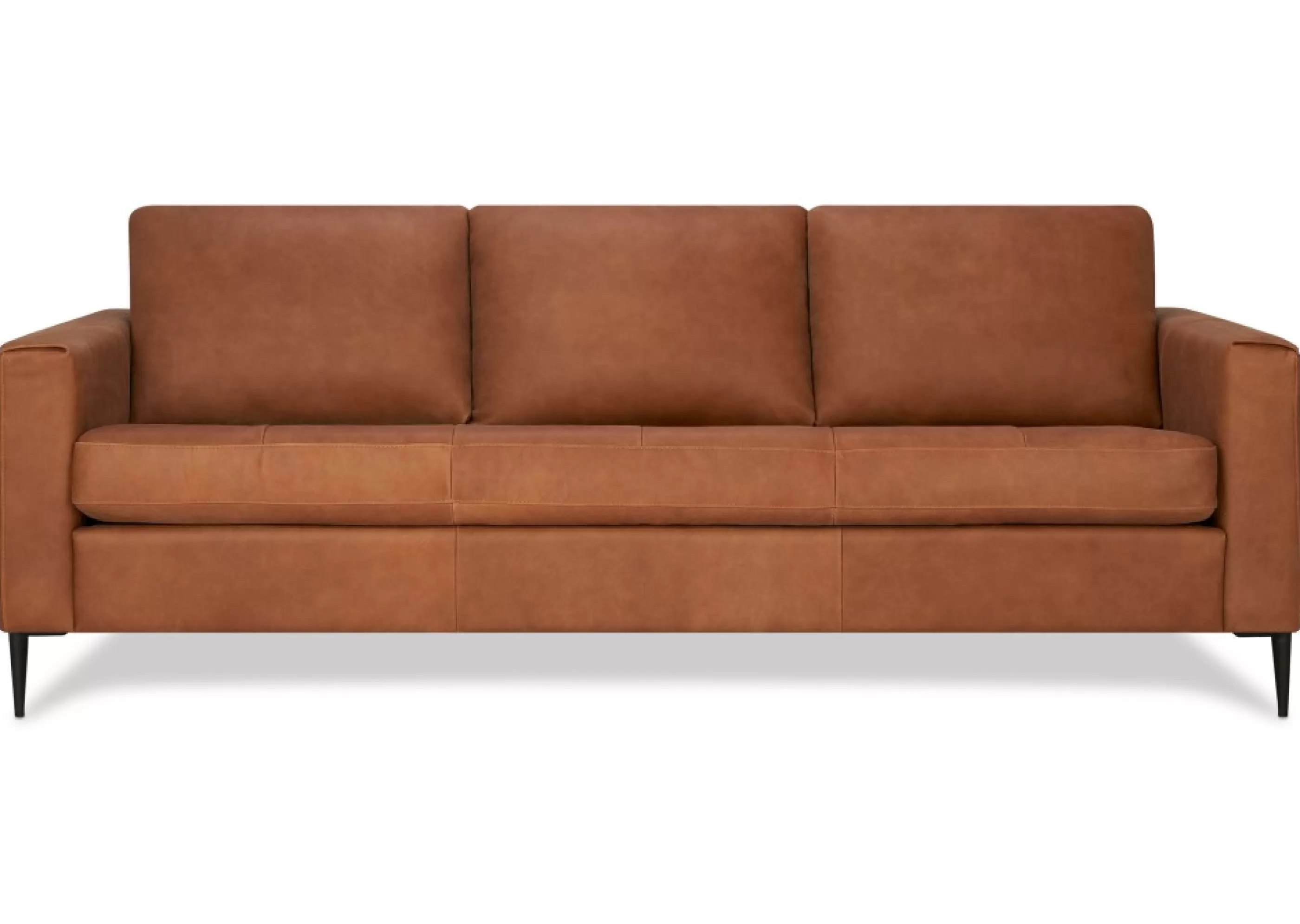 Urban Barn Custom*Lucca Custom Leather Sofa