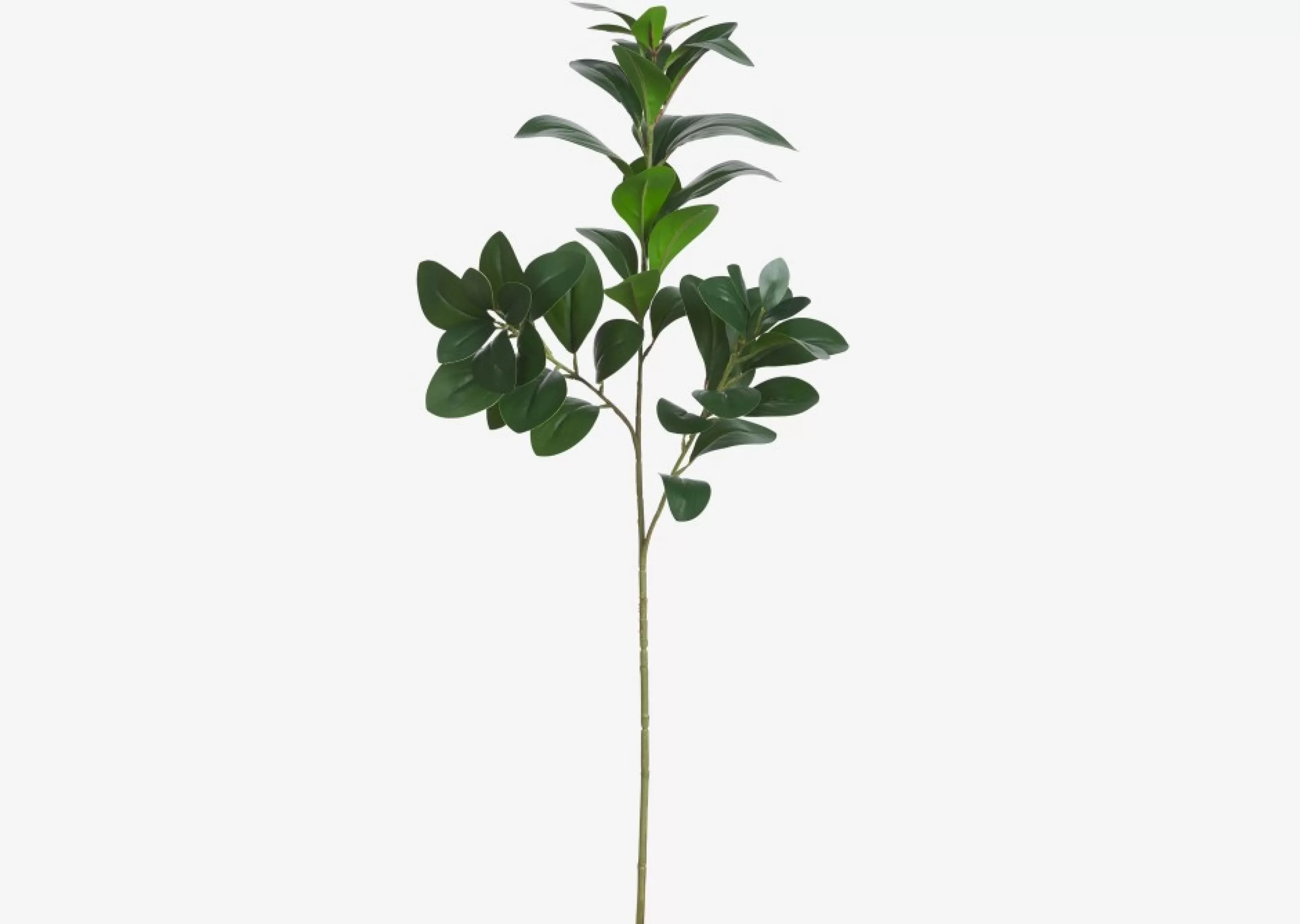 Urban Barn Blooms & Branches*Maude Leaf Stem