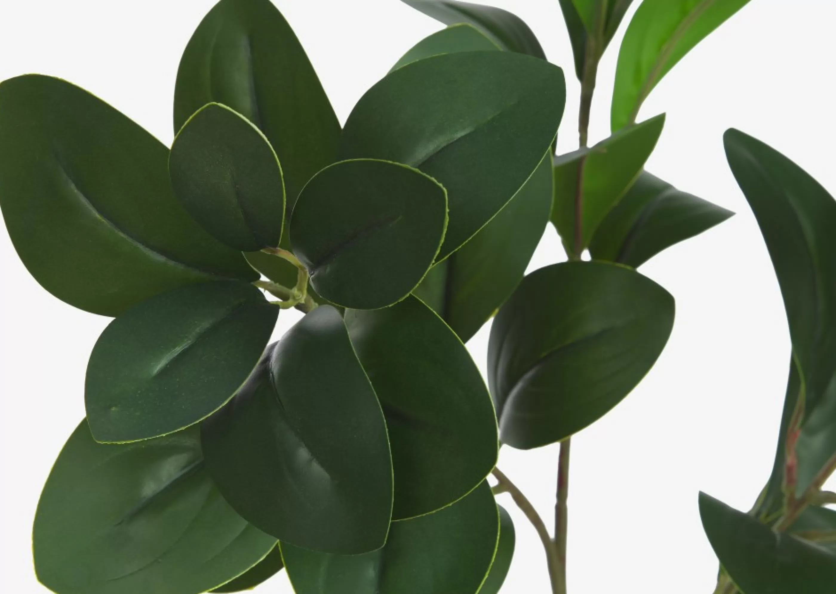 Urban Barn Blooms & Branches*Maude Leaf Stem