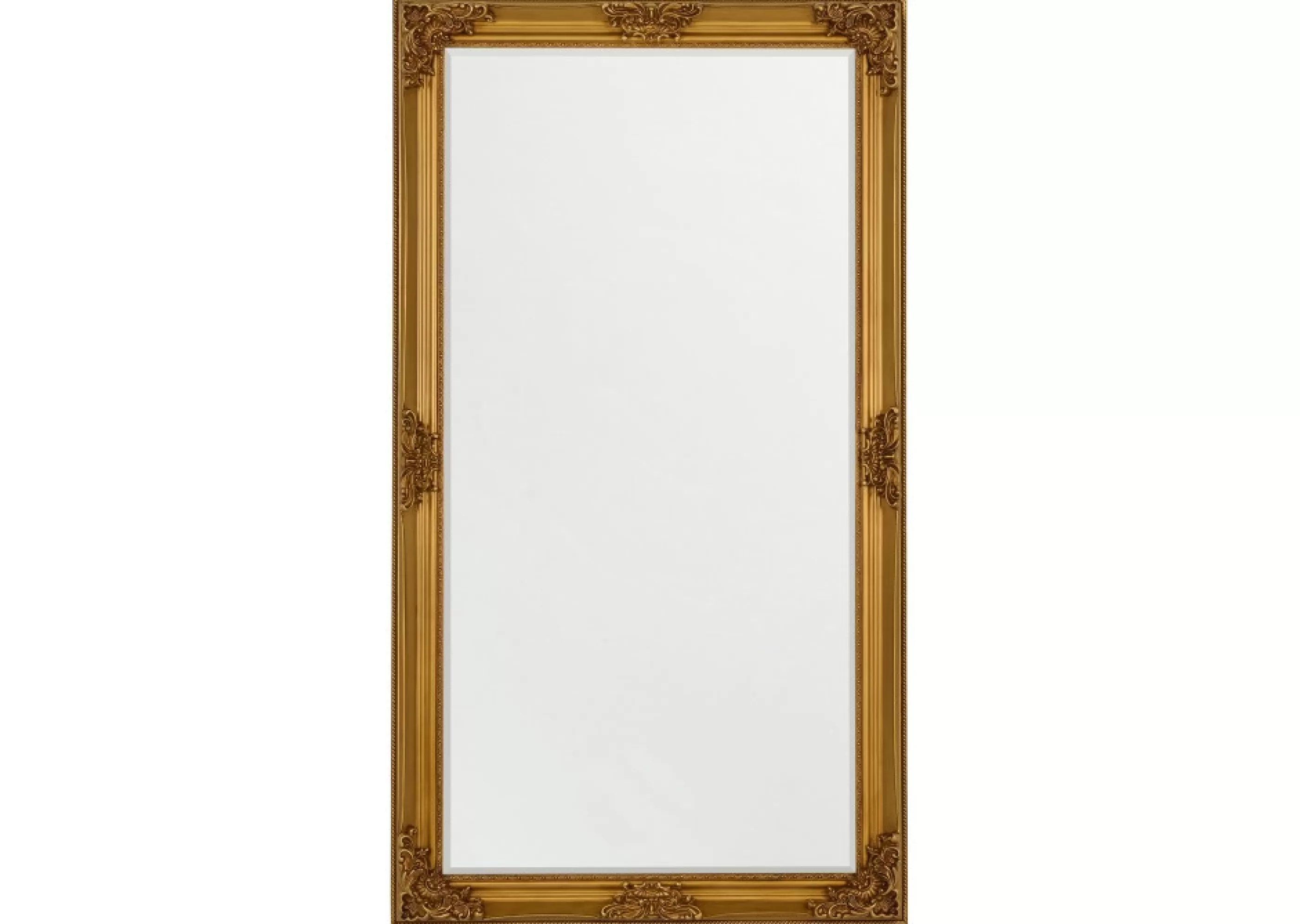 Urban Barn Mirrors*Presley Floor Mirror