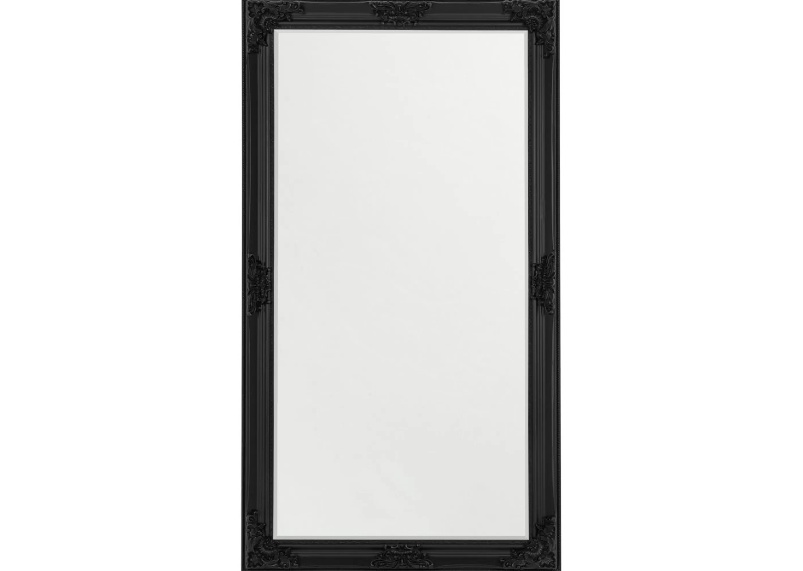 Urban Barn Mirrors*Presley Floor Mirror