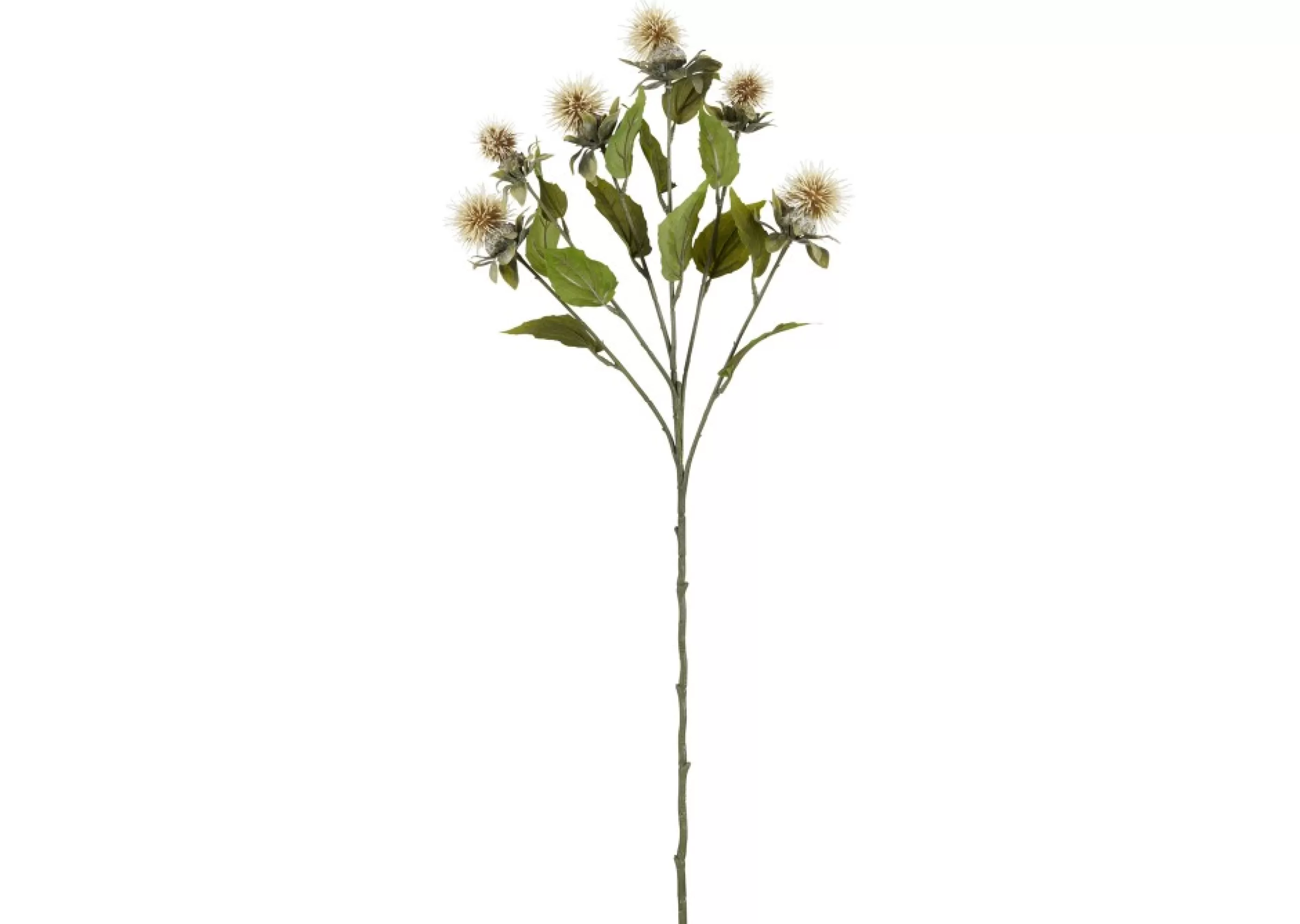 unavailable Blooms & Branches*Pridy Safflower Branch