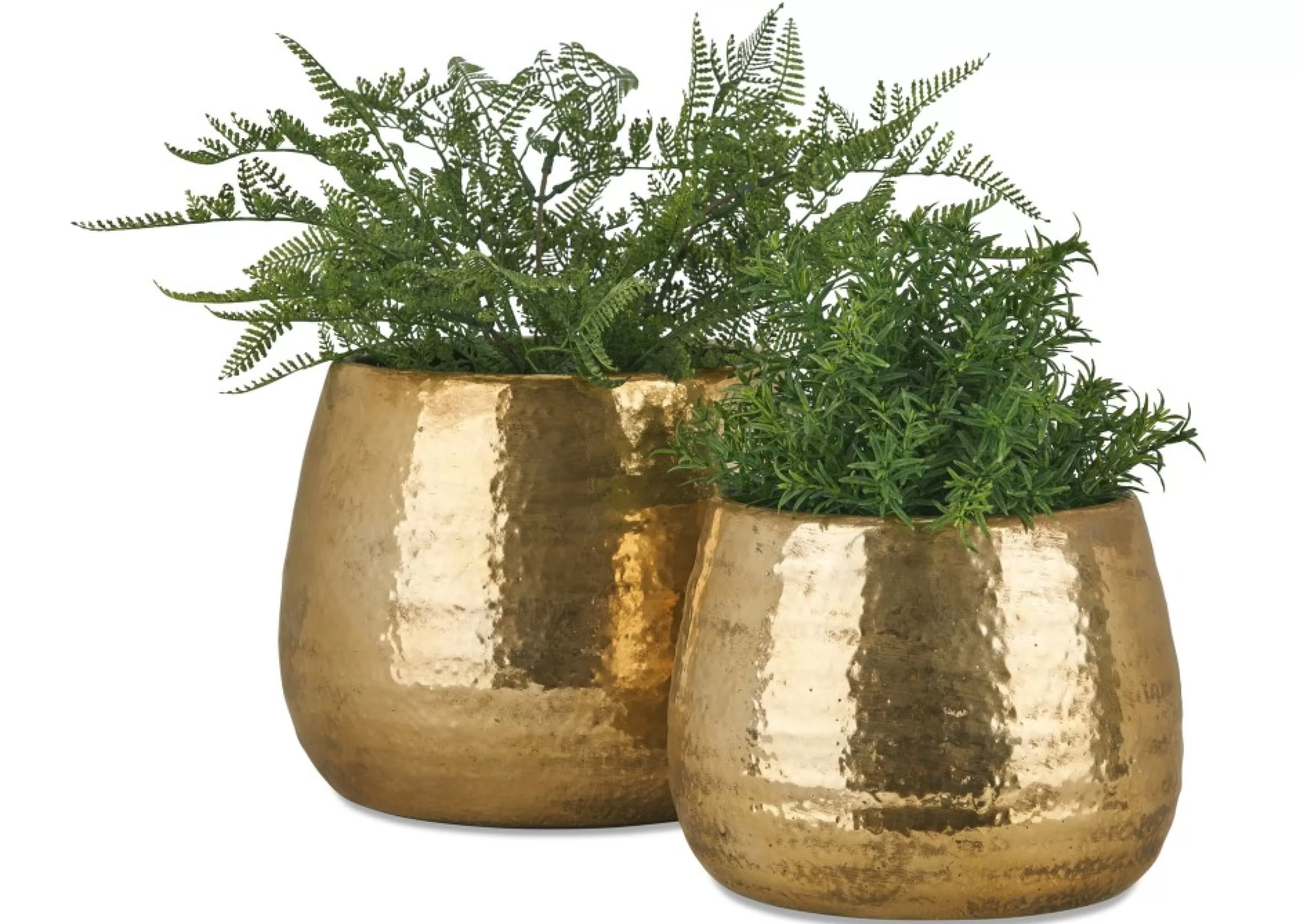 unavailable Vases & Planters*Rikki Planters
