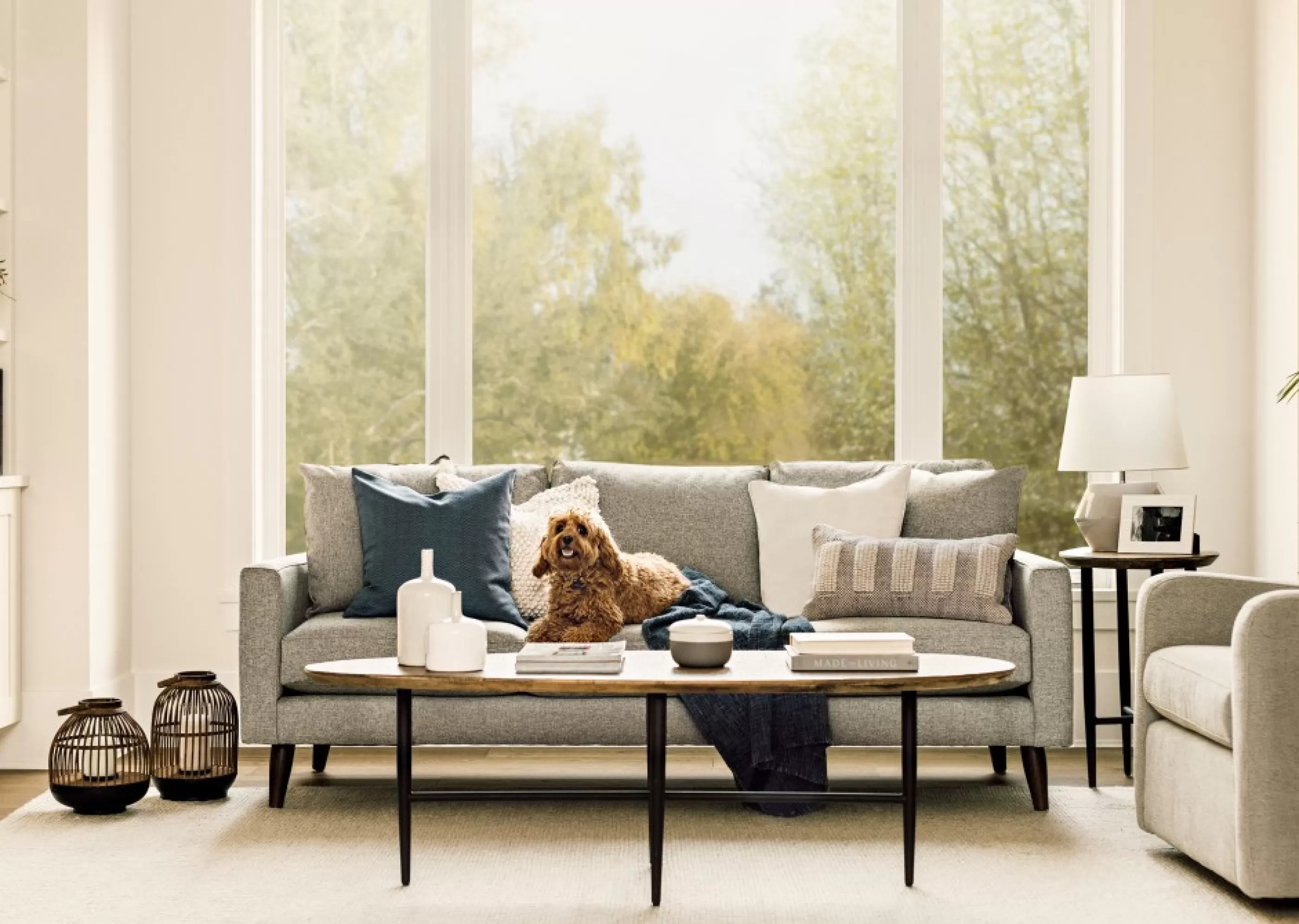 Urban Barn Living Room*Santana Sofa