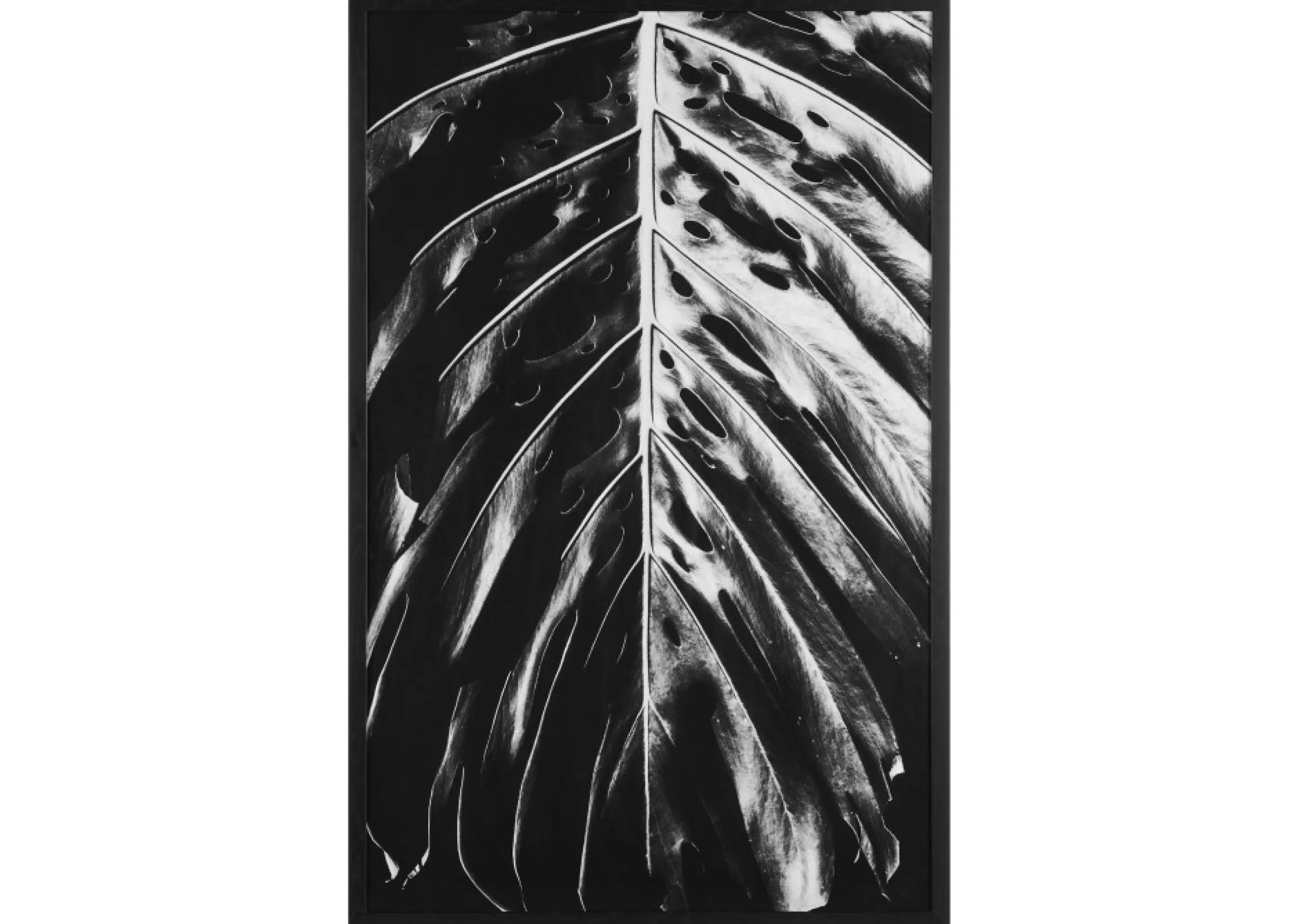 unavailable Wall Art*Shape Shift Framed Print