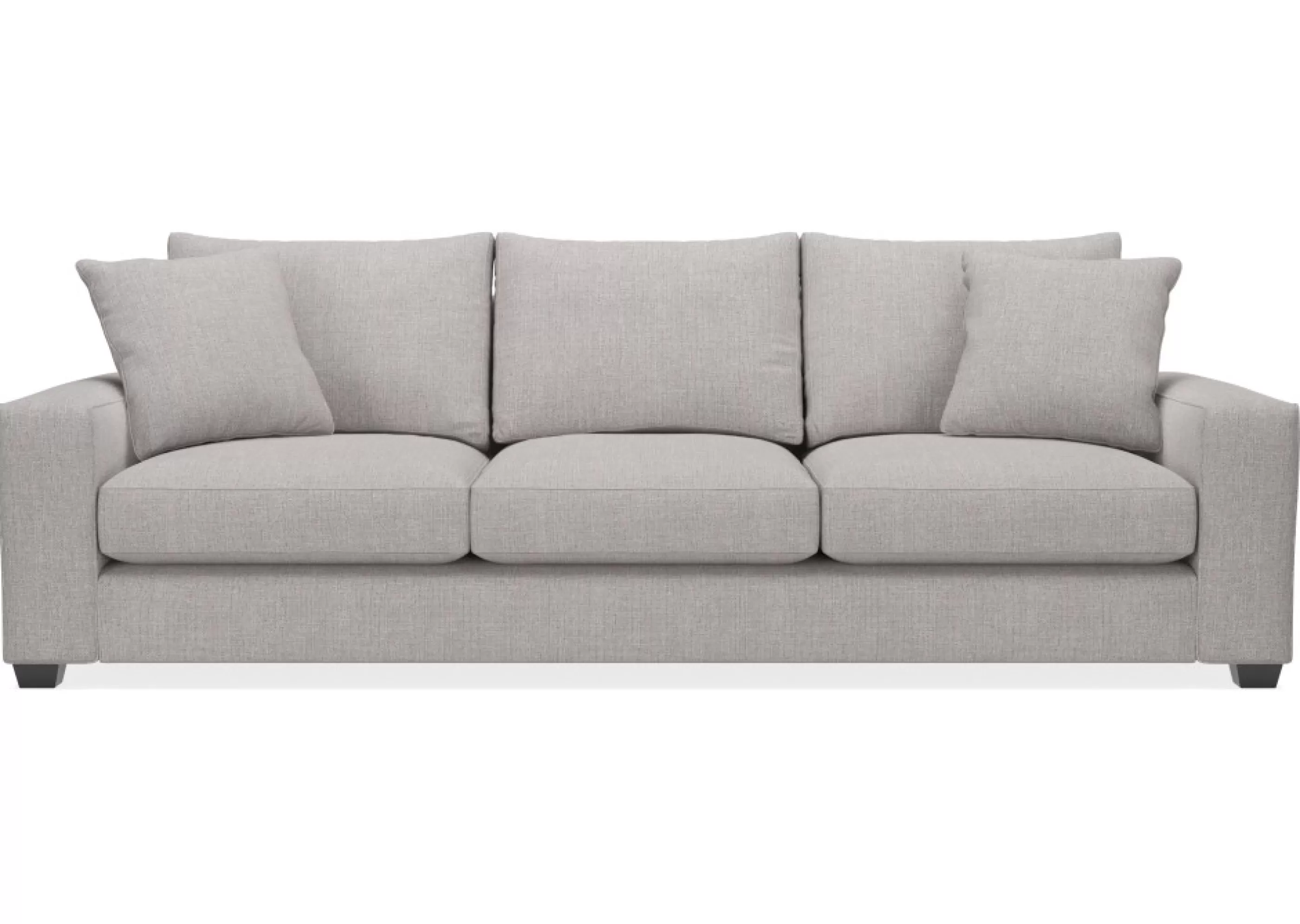 Urban Barn Custom*Sophia Custom Sofa