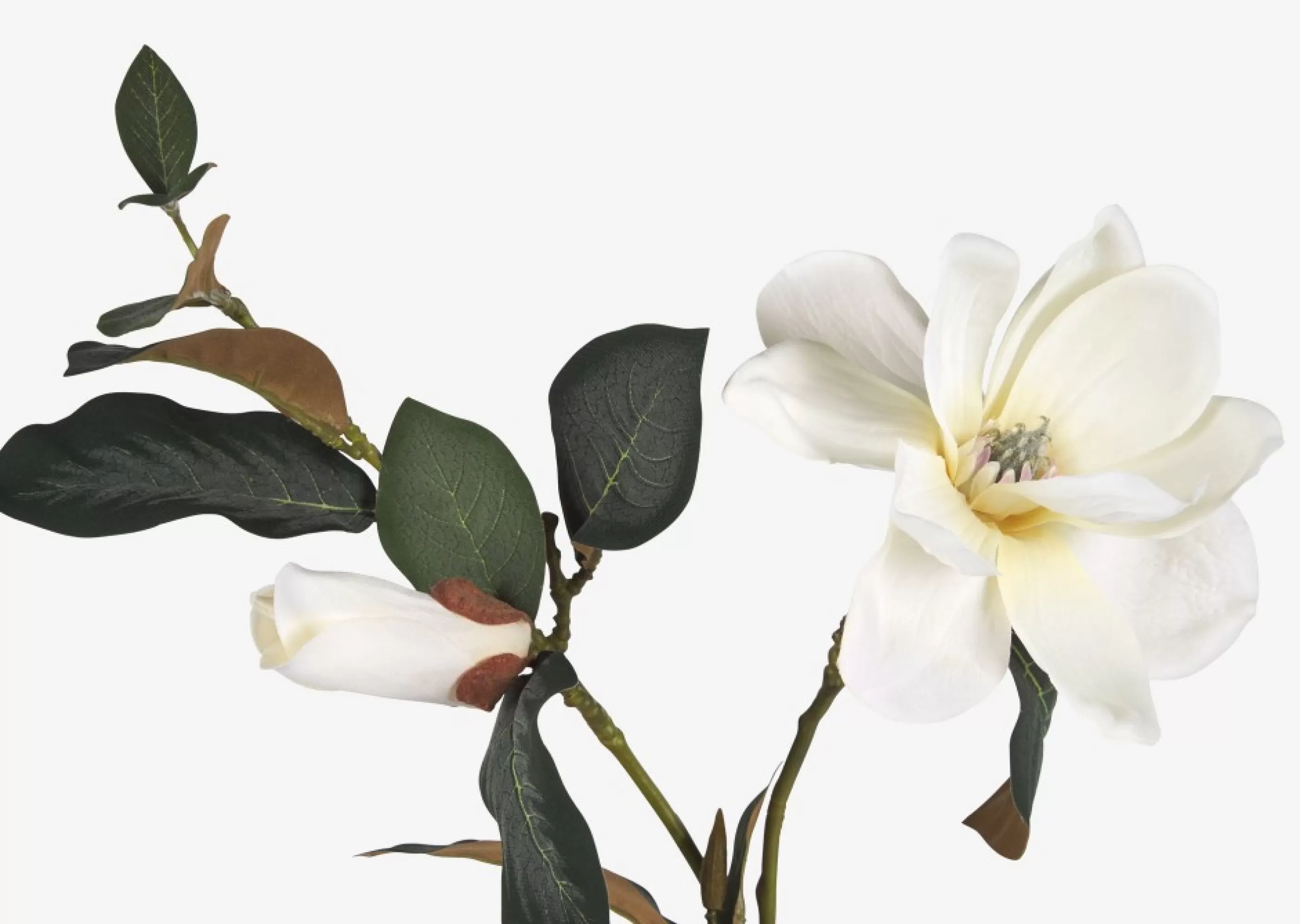 unavailable Décorative Accents*Wess Magnolia Stem