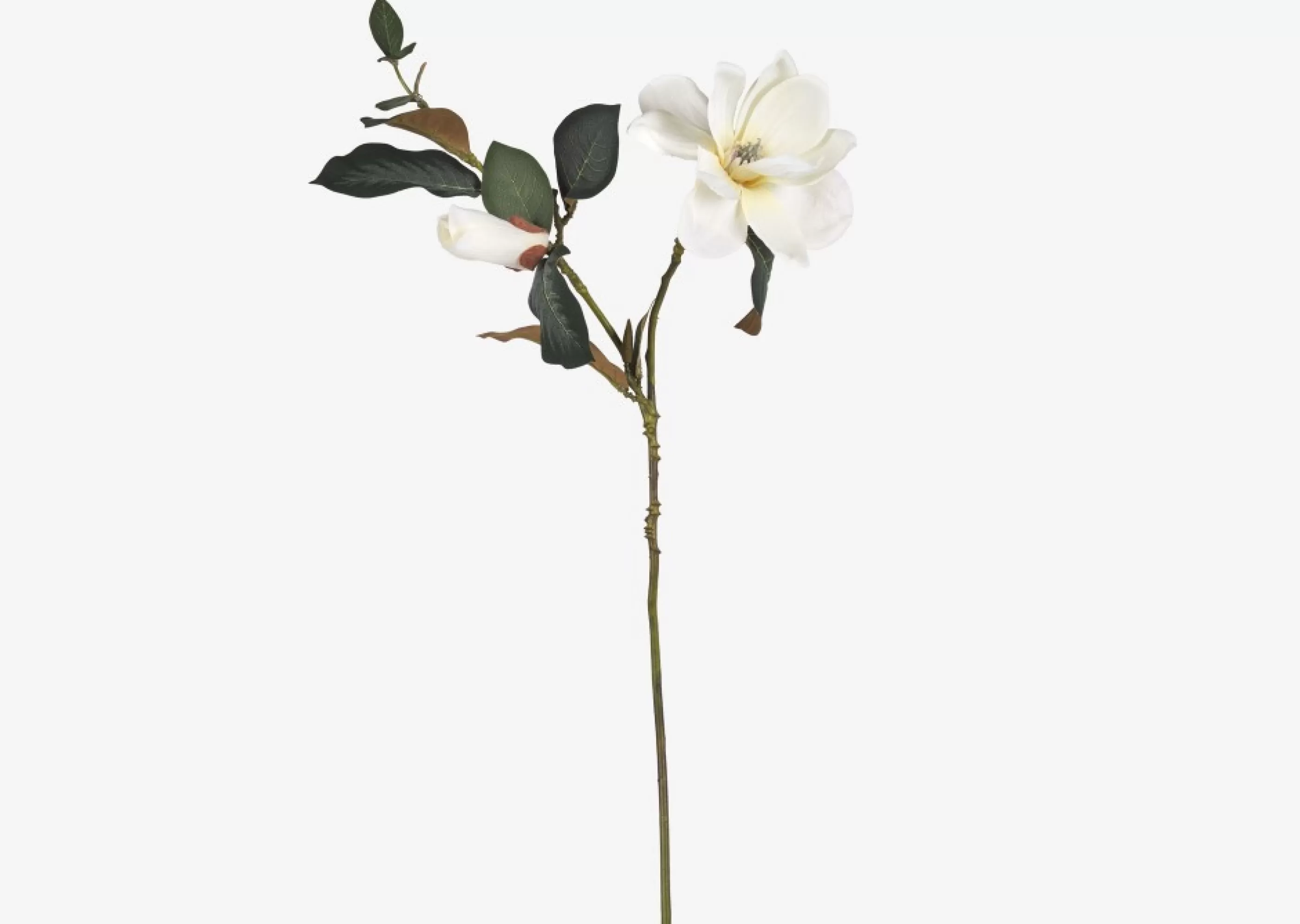 unavailable Décorative Accents*Wess Magnolia Stem