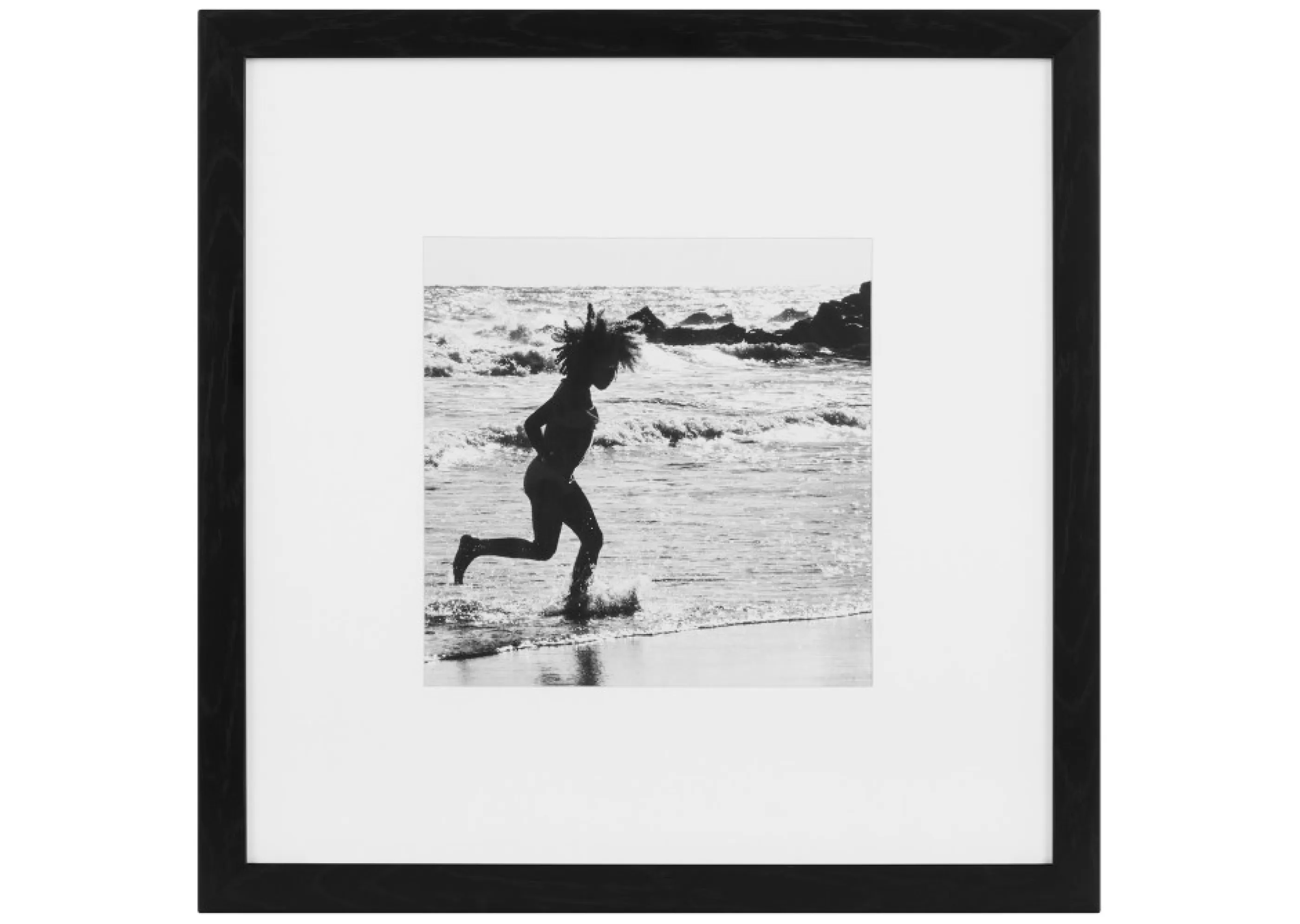 unavailable Wall Art*Wild Framed Print